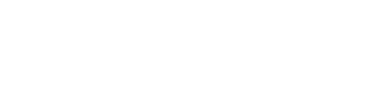 Fauzia Akhtari - Psychotherapie
